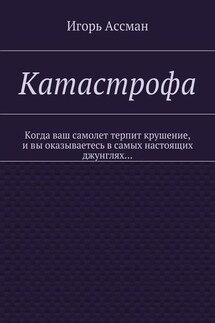 Катастрофа - Игорь Ассман