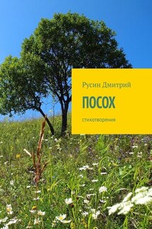 Посох. Стихотворения - Дмитрий Русин