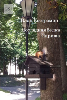 Последняя белка Парижа - Влад Костромин