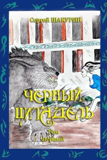 Черный. Цитадель. Том первый - Сергей Шакурин