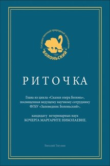 Риточка. Сказки озера Болонь - Виталий Тягунин