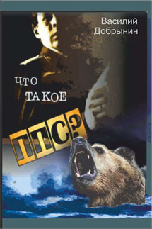 Что такое ППС? - Василий Добрынин