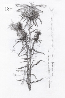 Мальчик и фея