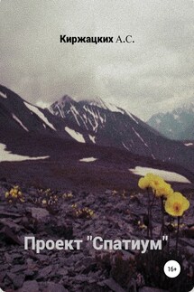 Проект «Спатиум» - Александр Киржацких