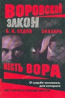 Месть вора - Б. Седов