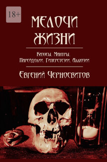 Мелочи жизни. Казусы. Мантры. Парейдолии. Гиперстезии. Аллюзии - Евгений Черносвитов