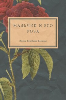 Мальчик и его роза - Эмиль Бенедикт Величка