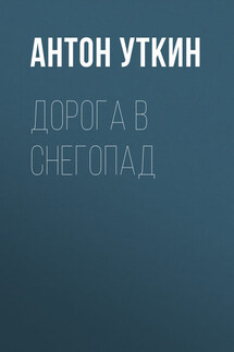 Дорога в снегопад - Антон Уткин