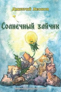 Солнечный зайчик