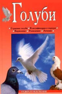 Голуби - Линиза Жалпанова