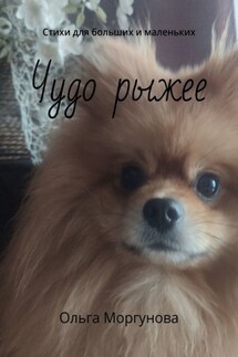 Чудо рыжее. Стихи для больших и маленьких - Ольга Моргунова