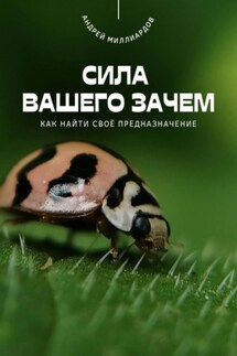 Сила вашего Зачем. Как найти своё предназначение - Андрей Миллиардов