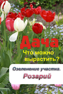 Что можно вырастить? Озеленение участка. Розарий - Илья Мельников