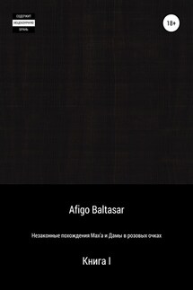 Незаконные похождения Max'a и Дамы в розовых очках. Книга 1 - Afigo Baltasar