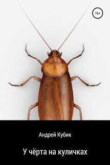 У чёрта на куличках - Андрей Кубик