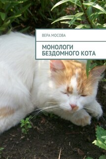 Монологи бездомного кота - Вера Мосова
