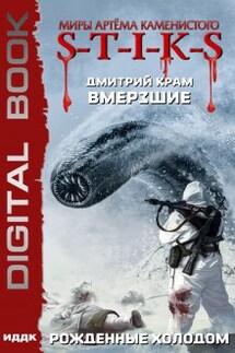 Миры Артёма Каменистого. S-T-I-K-S. Вмерзшие. Книга 3. Рожденные холодом - ИДДК
