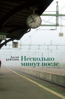 Несколько минут после. Книга встреч - Евсей Цейтлин