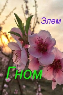 Гном - Элем –