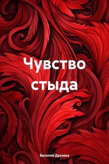 Чувство стыда - Василий Друзяка