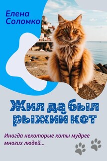 Жил да был рыжий кот - Елена Соломко