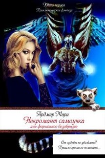 Некромант-самоучка, или форменное безобразие - Мари Ардмир