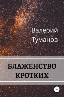 Блаженство кротких - Валерий Туманов