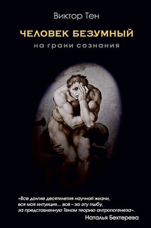 Человек безумный. На грани сознания - Виктор Тен