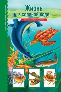 Жизнь в соленой воде - Марк Махлин