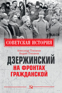 Дзержинский на фронтах Гражданской - Александр Михайлович Плеханов, Андрей Александрович Плеханов