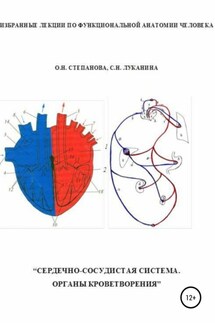 Избранные лекции по функциональной анатомии человека. «Сердечно-сосудистая система. Органы кроветворения» - Ольга Николаевна Степанова, Светлана Николаевна Луканина