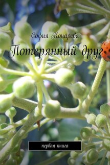 Потерянный друг. Первая книга - Cофия Конарева