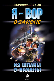 Из шпаны – в паханы - Евгений Сухов