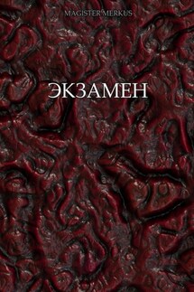 Экзамен - Magister Merkus