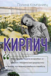 Кирпич - Полина Компаниец
