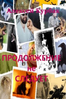 Продолжение не следует - Алексей Курбак