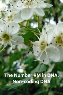 The Number RM in DNA. Non-coding DNA - Zakia Bayguzhina