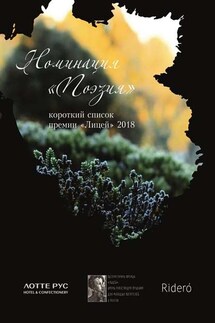 Номинация «Поэзия». Короткий список премии «Лицей» 2018 - Константин Комаров, Андрей Фамицкий