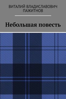 Небольшая повесть - Виталий Пажитнов