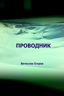 Проводник - Вячеслав Егоров