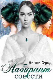 Лабиринт совести - Винни Фред