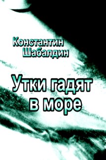 Утки гадят в море - Константин Шабалдин