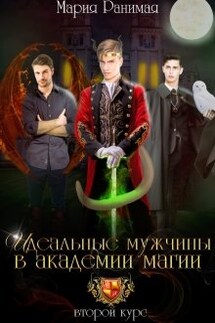 Идеальные мужчины в академии магии. Второй курс - Мария Ранимая