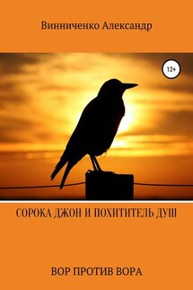 Сорока Джон и Похититель душ. Вор против Вора - Александр Винниченко