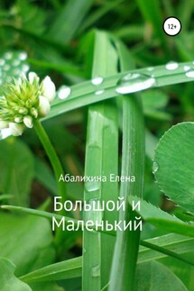 Большой и маленький - Елена Абалихина
