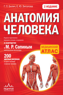 Анатомия человека - Габриэль Лазаревич Билич, Елена Юрьевна Зигалова