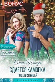 Сдаётся каморка под лестницей - Елена Шмидт