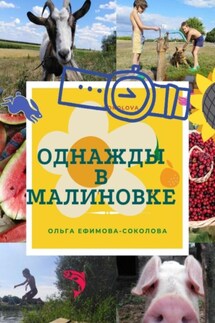 Однажды в Малиновке - Ольга Ефимова-Соколова