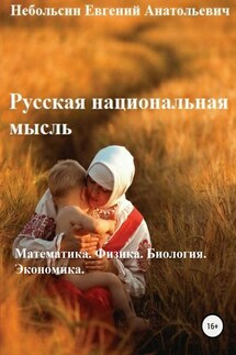 Русская национальная мысль. Математика. Физика. Биология. Экономика - Евгений Небольсин