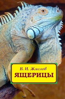 Ящерицы - В. Жиглов